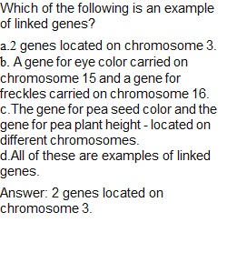 Unit 4 Lesson 13 Quiz